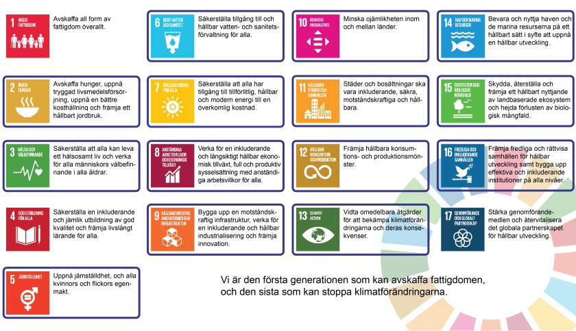 03 -prioriterade globala mål.jpg