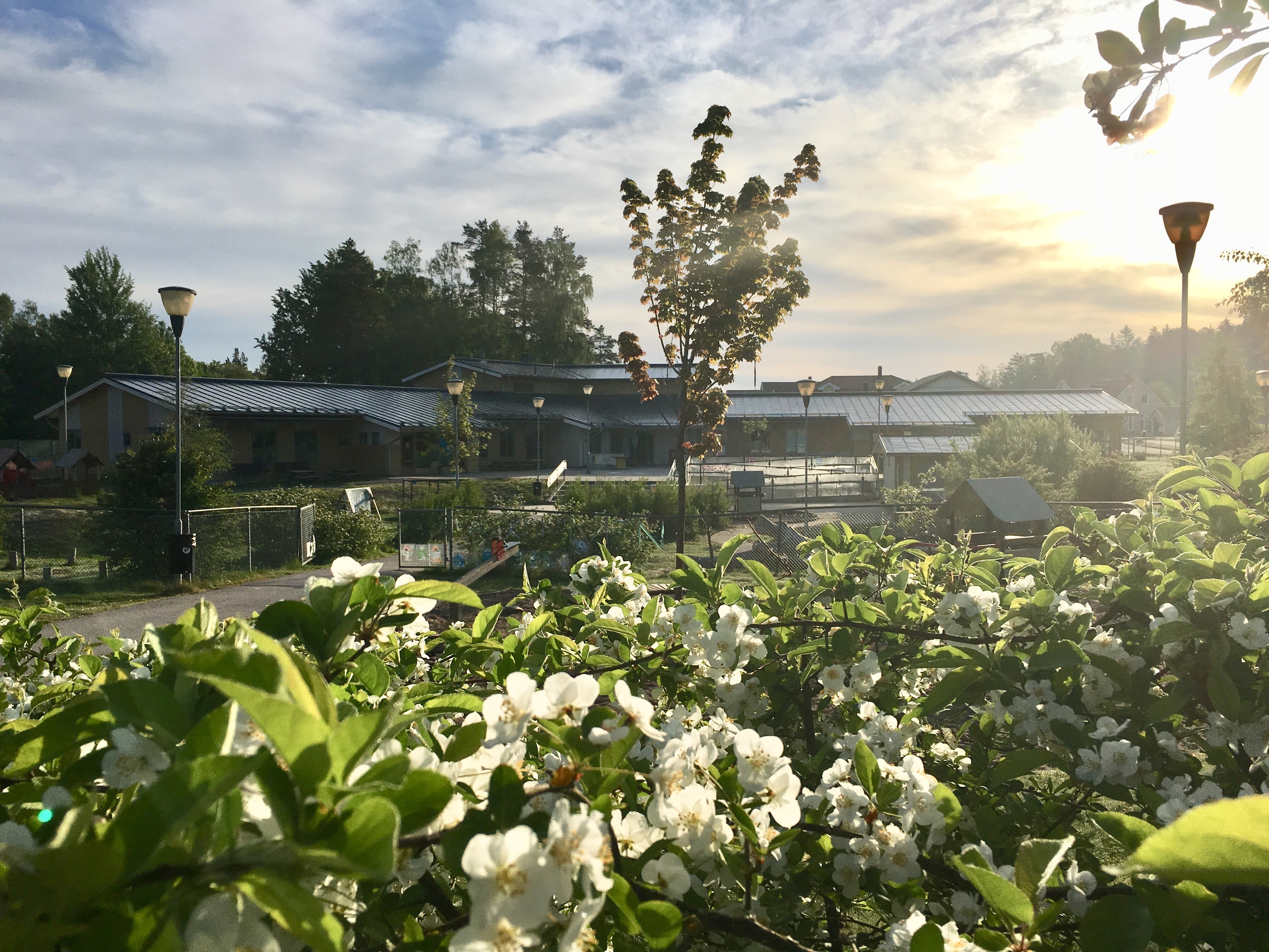Buskar framför förskola