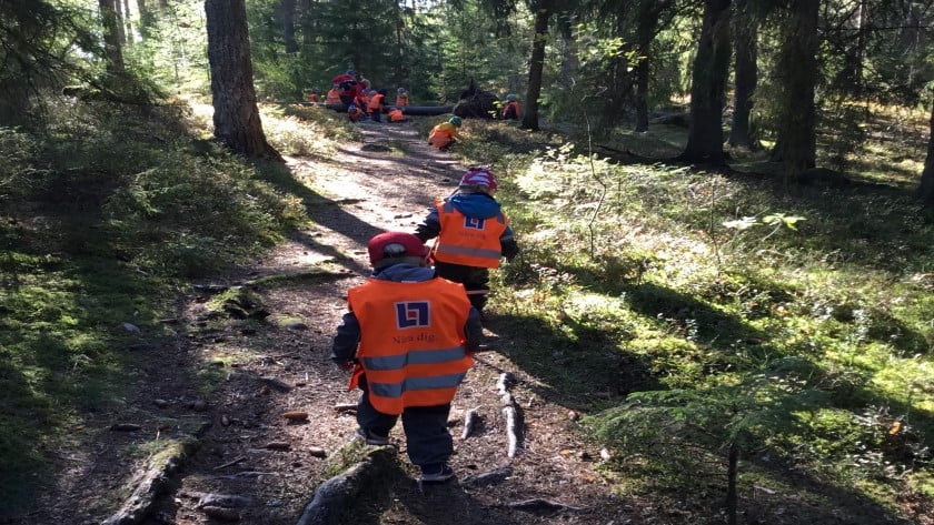 Barn på promenad på en stig i skogen