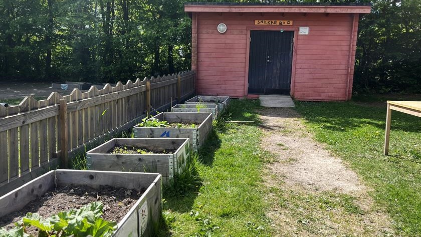 Odlingslådor och snickarbod på förskolans gård