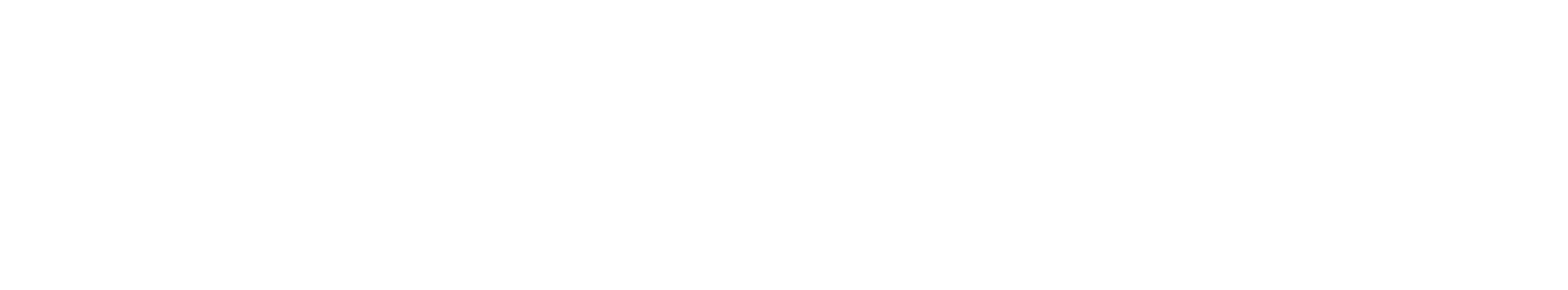 nykoping_logotyp_white.png