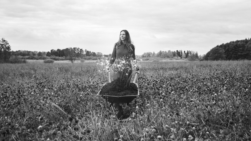 Ärenden och handlingar